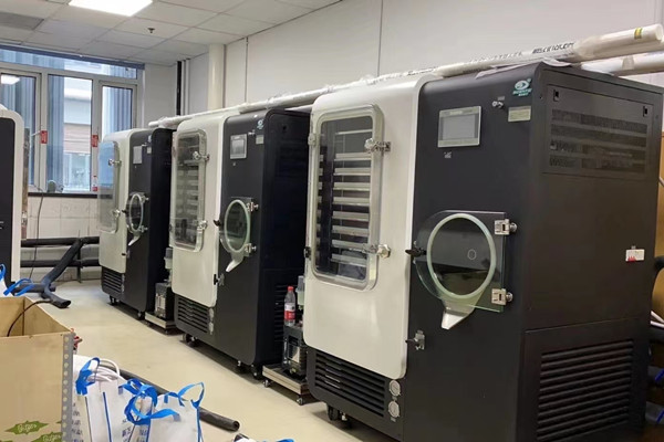 陕西某高校订购中试型硅油原位冷冻干燥机用于新生物实验室建设项目