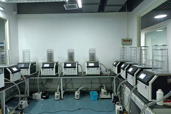 浙江某高校采购实验型钟罩式冷冻干燥机助力日常物料冻干实验项目