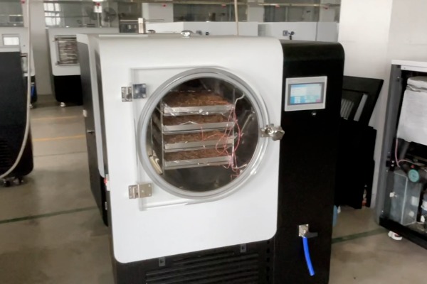 SCIENTZ-50YG/A中试型冻干机草药冻干应用实测
