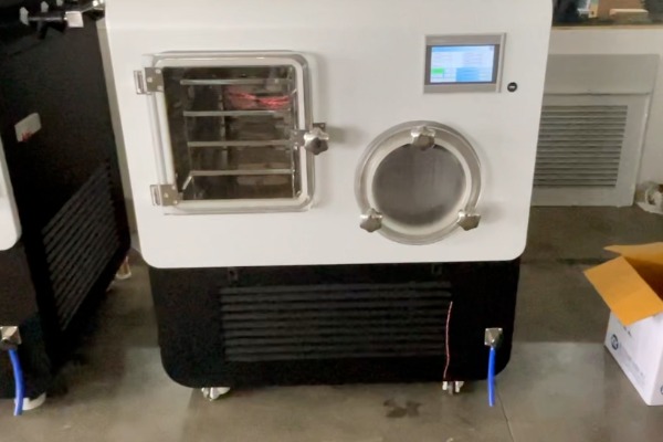 SCIENTZ-50F/A普通型冷冻干燥机下线测试实录