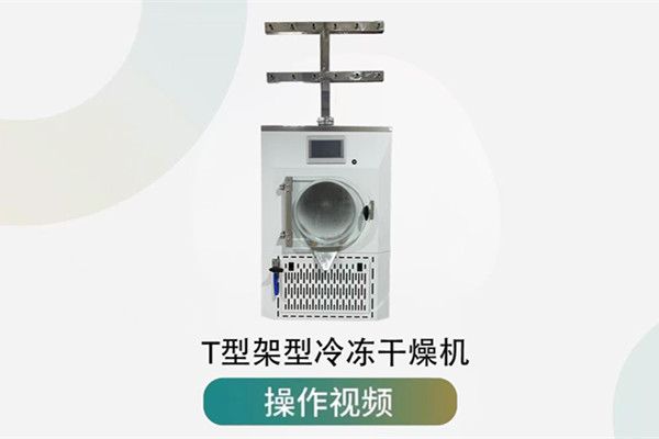 T型架型冷冻干燥机操作视频