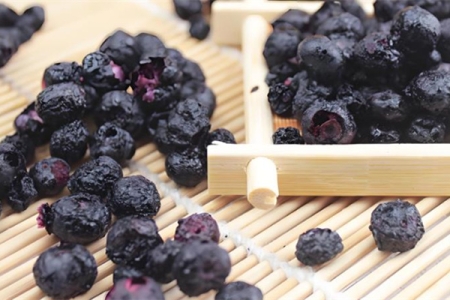 创新技术引领未来：冻干食品与药品的无尽潜力