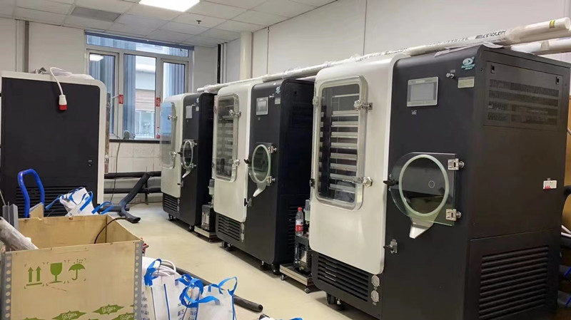 陕西某高校订购中试型硅油原位冷冻干燥机用于新生物实验室建设项目